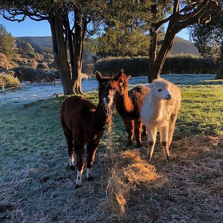 Narrow Neck Creek Farmstay And B&B Upper Hutt Bagian luar foto