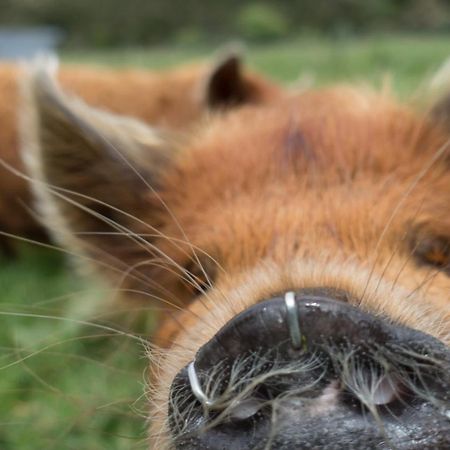 Narrow Neck Creek Farmstay And B&B Upper Hutt Bagian luar foto