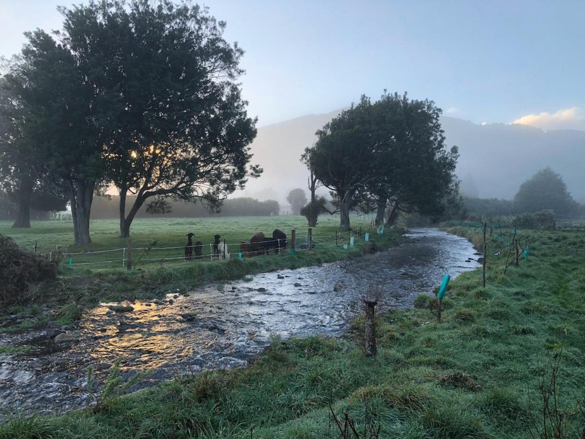 Narrow Neck Creek Farmstay And B&B Upper Hutt Bagian luar foto