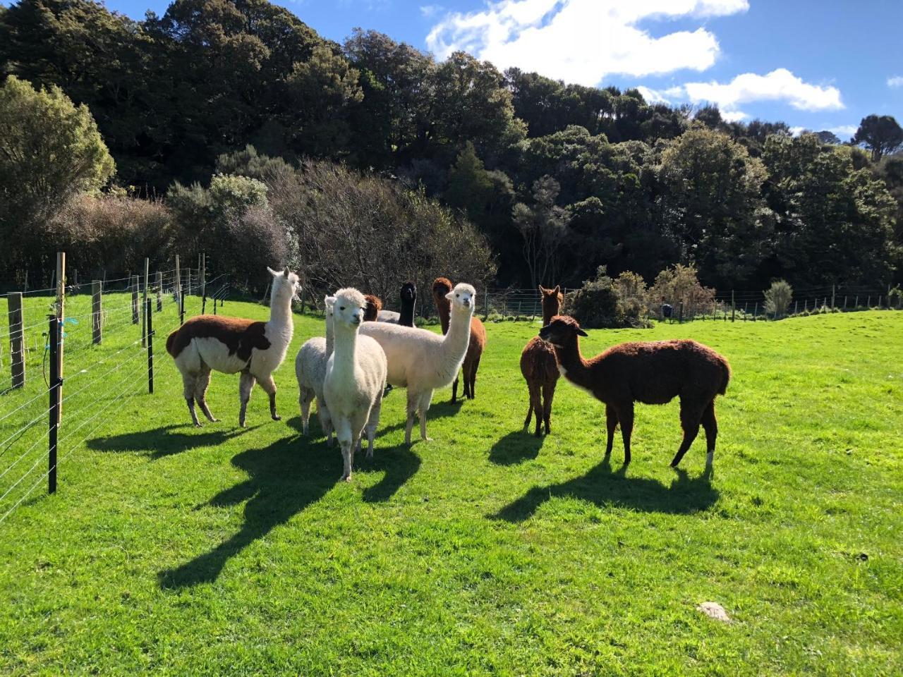 Narrow Neck Creek Farmstay And B&B Upper Hutt Bagian luar foto